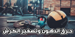 تحميل تطبيق تمارين حرق الدهون للحصول على جسم رياضي عبر الهاتف مجانا للايفون و الاندرويد